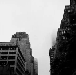 Kodak Tri-X 400, 120 Medium Format, Black And White Film (Pro-Pack Of 5 Rolls) -Camera Gear Hub 222746 0002