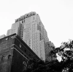 Kodak Tri-X 400, 120 Medium Format, Black And White Film (Pro-Pack Of 5 Rolls) -Camera Gear Hub 222746 0005