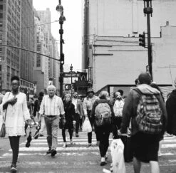 Kodak Tri-X 400, 120 Medium Format, Black And White Film (Pro-Pack Of 5 Rolls) -Camera Gear Hub 222746 0007