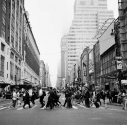 Kodak Tri-X 400, 120 Medium Format, Black And White Film (Pro-Pack Of 5 Rolls) -Camera Gear Hub 222746 0008