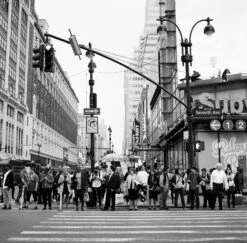 Kodak Tri-X 400, 120 Medium Format, Black And White Film (Pro-Pack Of 5 Rolls) -Camera Gear Hub 222746 0009