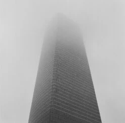 Kodak Tri-X 400, 120 Medium Format, Black And White Film (Pro-Pack Of 5 Rolls) -Camera Gear Hub 222751 0003