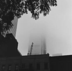 Kodak Tri-X 400, 120 Medium Format, Black And White Film (Pro-Pack Of 5 Rolls) -Camera Gear Hub 222751 0005