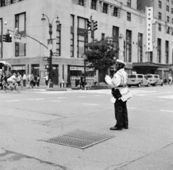 Kodak Tri-X 400, 120 Medium Format, Black And White Film (Pro-Pack Of 5 Rolls) -Camera Gear Hub 222751 0006