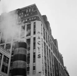 Kodak Tri-X 400, 120 Medium Format, Black And White Film (Pro-Pack Of 5 Rolls) -Camera Gear Hub 222751 0008