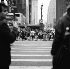 Kodak Tri-X 400, 120 Medium Format, Black And White Film (Pro-Pack Of 5 Rolls) -Camera Gear Hub 222751 0009