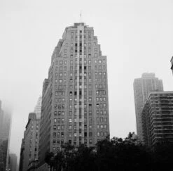 Kodak Tri-X 400, 120 Medium Format, Black And White Film (Pro-Pack Of 5 Rolls) -Camera Gear Hub 222751 0012