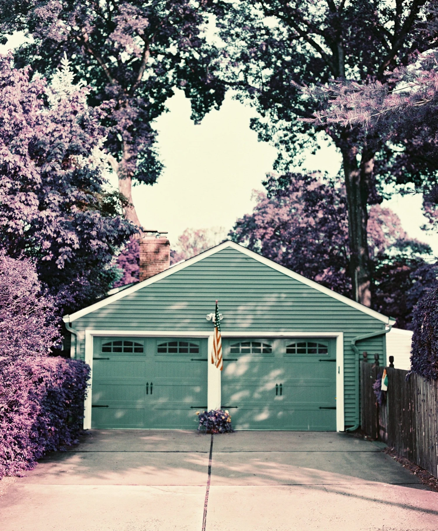 LomoChrome Purple 35mm ISO 100-400 14 LomoChrome Purple 35mm ISO 100-400 - Image 12