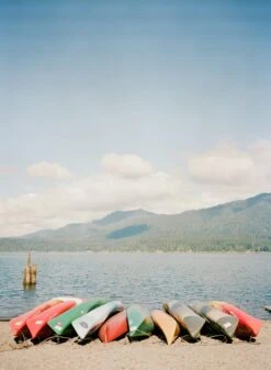 Kodak Portra 400, 35mm, 36 Exposures, Color Film (Pro-Pack Of 5 Rolls) -Camera Gear Hub KodakPortra400 35mm AshleyVaughnofWhiteRabbitStudios 0002