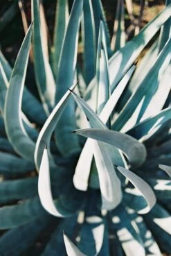 Fujifilm 200, 35mm, 36 Exp. Color Film (Three Roll Pack) -Camera Gear Hub PaulVR 1047965 R1 020 8A fbc20ccb dc81 4f07 9a40 00f8c3541d03