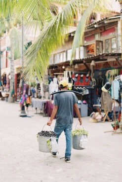 Fujifilm 200, 35mm, 36 Exp. Color Film (Three Roll Pack) -Camera Gear Hub PaulVR 1047965 R1 044 20A 7d6d827f eec0 42cf 8908 1a66f379210b