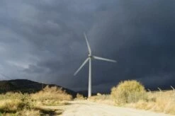 Kodak Ektachrome, 35mm, 36 Exposures, Color Positive Film (Single Roll Purchase) -Camera Gear Hub Roll 3 35mm AE 1 Kodak E100 209469 0006