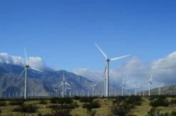 Kodak Ektachrome, 35mm, 36 Exposures, Color Positive Film (Single Roll Purchase) -Camera Gear Hub Roll 3 35mm AE 1 Kodak E100 209469 0018