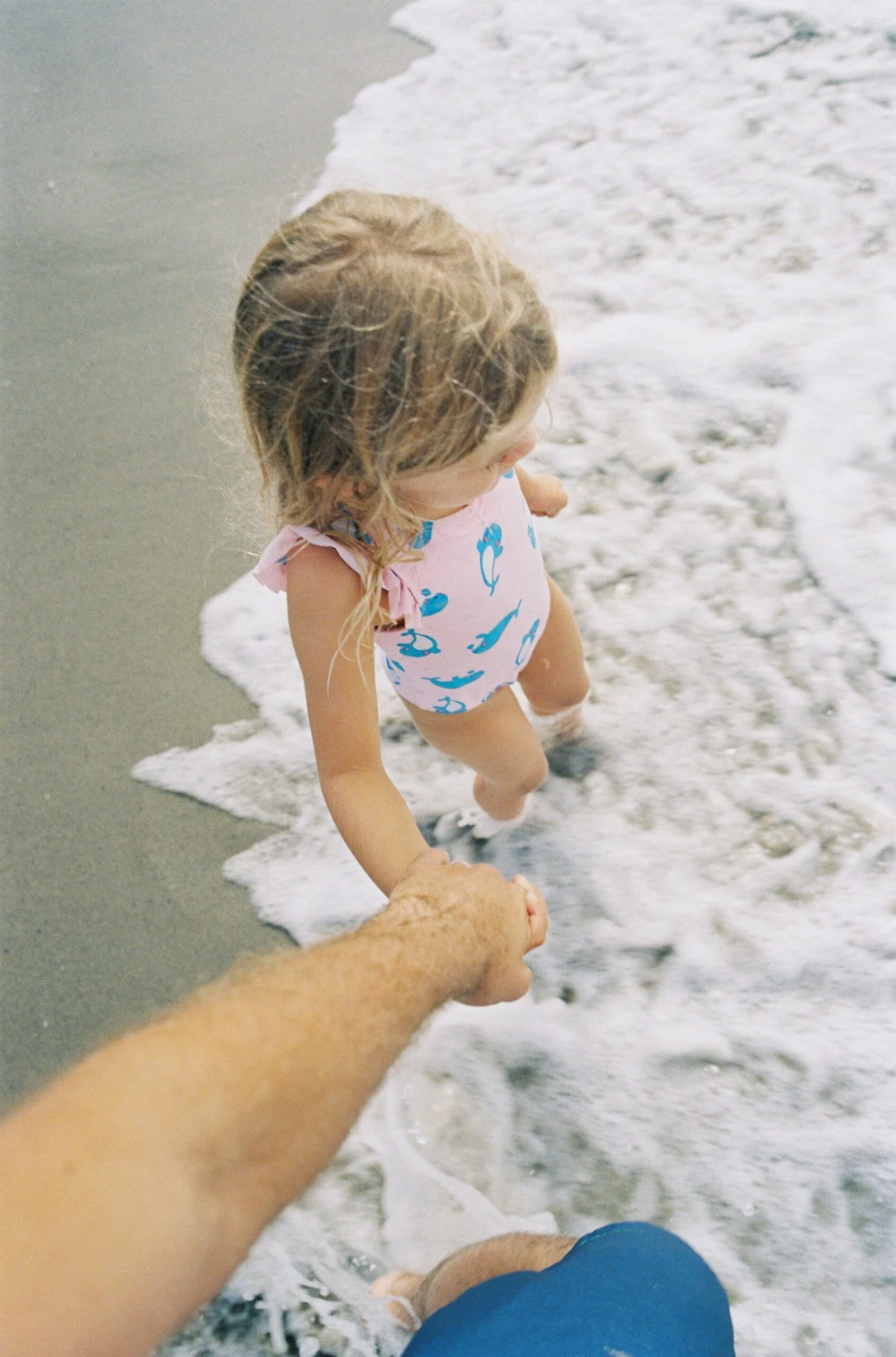 Kodak Ultramax Single Roll, 36 Exposures, Color Negative Film 7 Kodak Ultramax Single Roll, 36 Exposures, Color Negative Film - Image 5