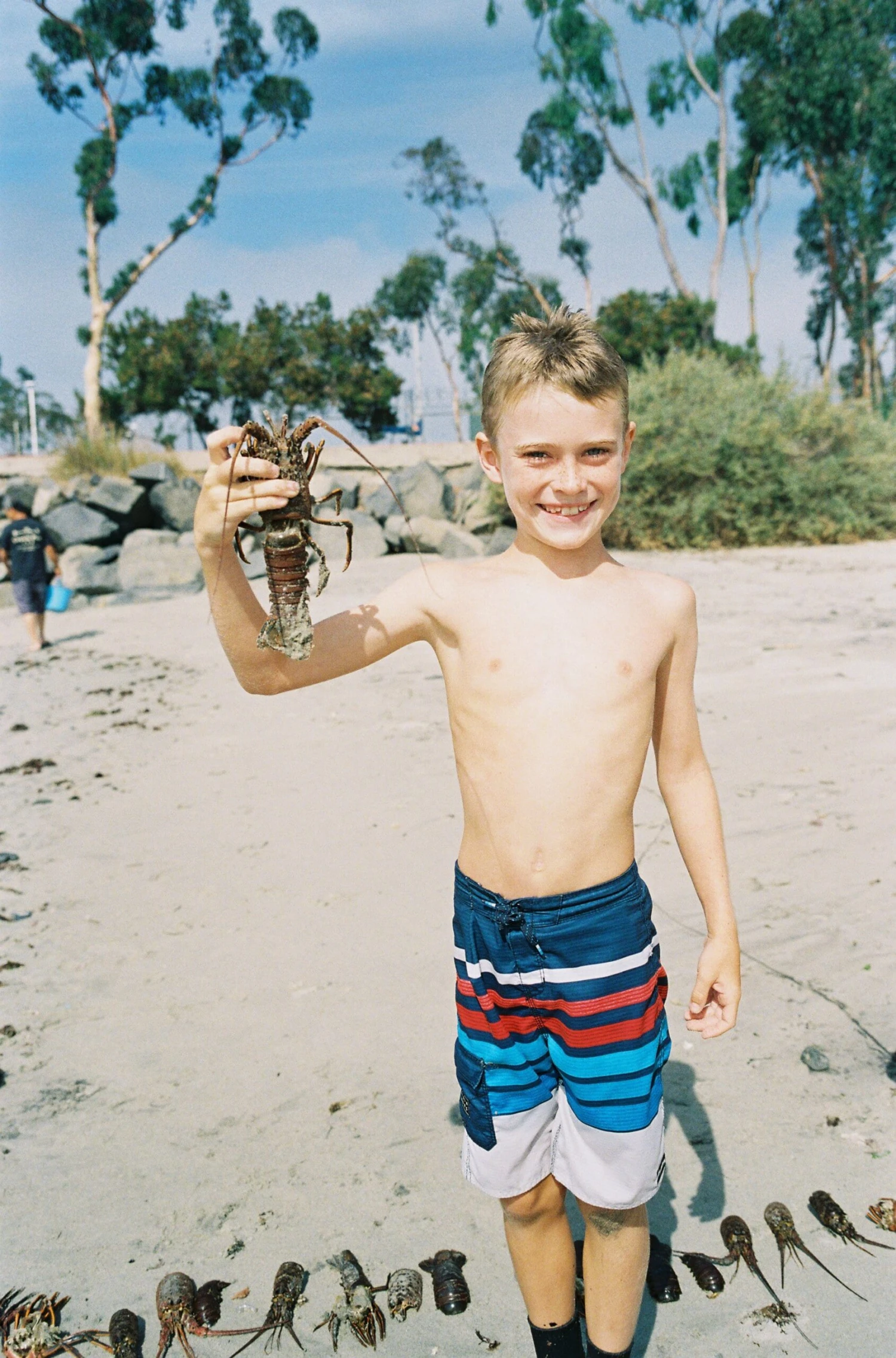 Kodak Ultramax Single Roll, 36 Exposures, Color Negative Film 8 Kodak Ultramax Single Roll, 36 Exposures, Color Negative Film - Image 6